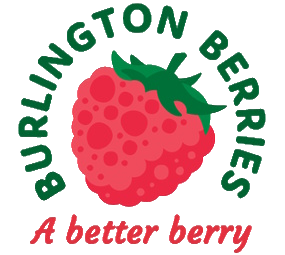 Burlington Berries